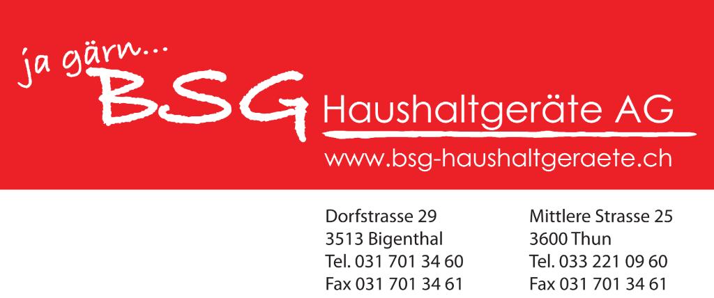 BSG-Haushaltgeräte AG